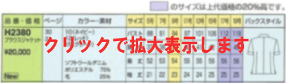̃uEX̃TCYEobNX^Cʐ^
